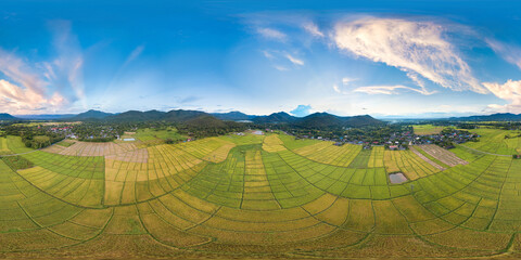 VR360 Aerial View Above Rural Rice Fields (Full Virtual Reality 360 Degree Panorama Seamless)