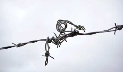 KnottedBarbedWire_1b6b