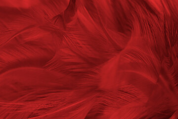 red feather pattern texture background