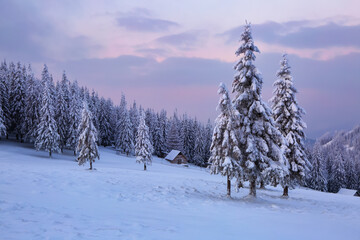 Obraz premium Winter scenery. Awesome sunrise. Old wooden hut on the lawn covered with snow. Landscape of high mountains and forests. Wallpaper background. Location place Carpathian, Ukraine, Europe.