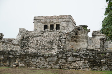 tulum, iguana, unesco, archeology, coati, buildings, nature, palms, birds, pelicano, tower, quintana roo, mexico