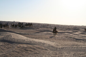 Jeździec na Saharze