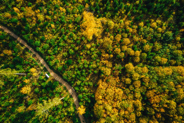 Aerial view on colourful forest in autumn season, forest with small road from above.