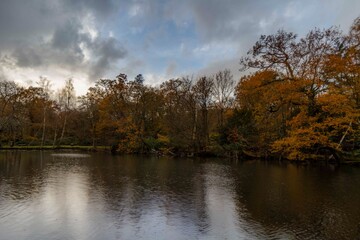 Large area of ancient woodlands located in the Enfield on the outskirts of London.
