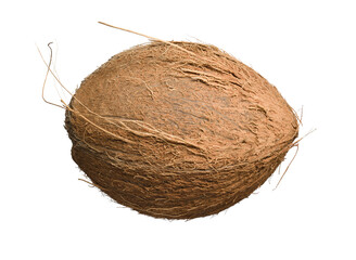 whole coconut isolated on white background