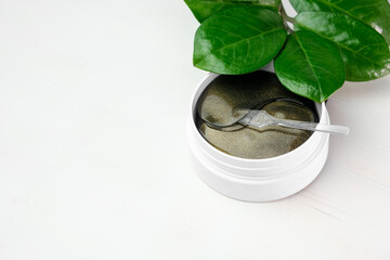 Hydrogel eye patches and green branch with leaves on a white background with copy space.