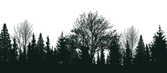 Isolated silhouettes of trees. Young forest. White background
