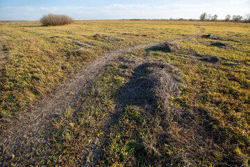 path on a mown autumn meadow in the evening