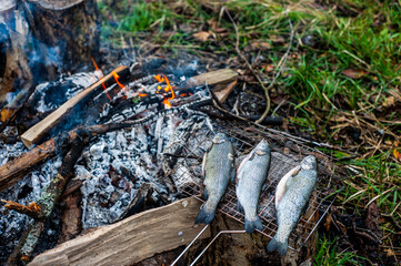 Grilled fish with smoke on a charcoal barbecue. Close up fish on the grill