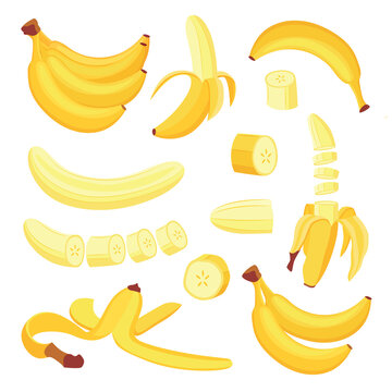 Set of banana peeled and sliced, whole banana flat vector illustration isolated.