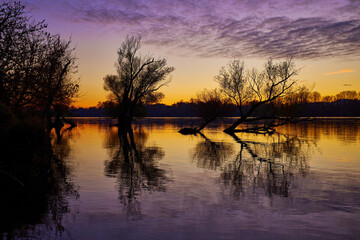 Sunset over river with silhouettes of trees, reflection and vivid yellow and purple colors