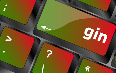 gin word on keyboard key, notebook computer button