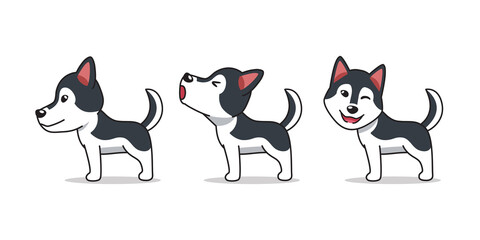 Cartoon character siberian husky dog poses for design. © jaaakworks