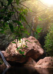 Shadow Of Tree On Rock By River Beatiful waterfall and small lake in tlemcen algeria with green trees