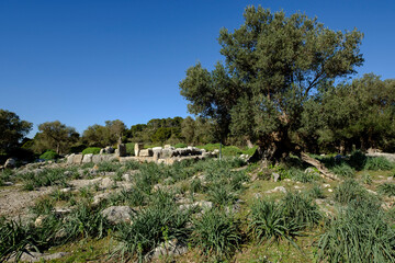 santuario talayotico de Son Mas, Valldemossa, Mallorca, balearic islands, Spain