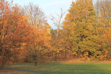 Beautiful park in Gdańsk in Poland.