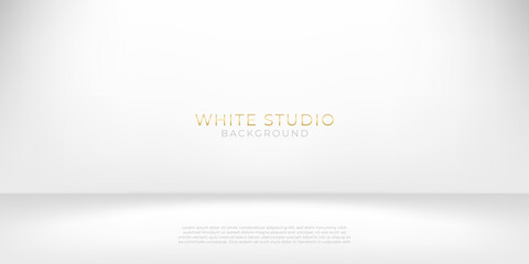 Grey white studio room abstract background geometry shine and layer element vector for presentation design. Suit for business, corporate, institution, party, festive, seminar, and talks.
