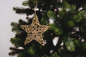 Christmas tree decoration. Gold star