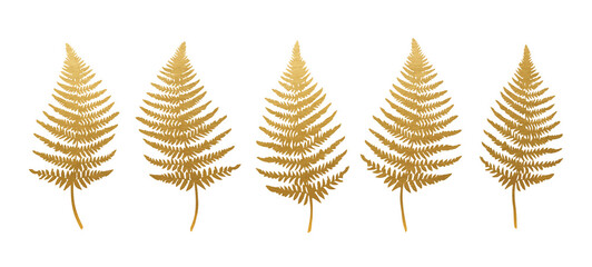 Golden Fern Leaves Set - Vector Fern Collection © Aylin Art Studio