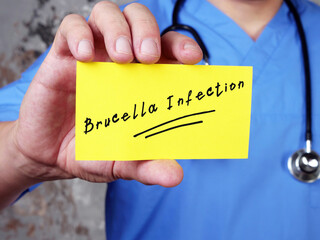 Medical concept meaning Brucella Infection  with phrase on the page.