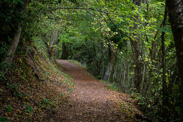 senda PR-8, Parque Natural de Valderejo , municipio de Valdegovía, Alava, País Vasco, Spain