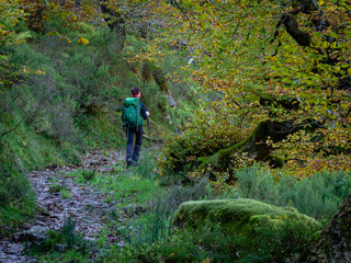 Fototapeta premium barranco del Diablo, parque natural del Saja-Besaya, Cantabria, Spain