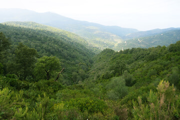 Eastern Algeria hills