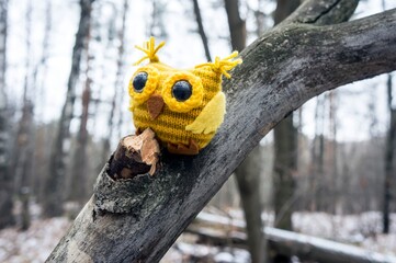 Soft toy of an owl in the autumn forest on a fallen tree; the concept of wisdom, meditation, calmness