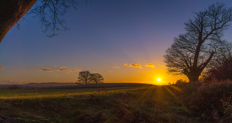 Naklejka na ściany i meble A beautiful and colourful sunset in a crop field near Puttenham, Surrey