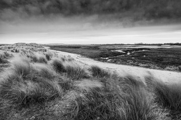 East Head near West Wittering Beach in black and white with windswept grass and a dark moody sky