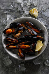 seafood, mussels, food, appetizer, raw, recipe, nobody, ocean, snack, marinated, eating, restaurant, starter, ingredient, bowl, top view, nutrition, uncooked, copy space, kiwi mussel, gourmet, sea, cu