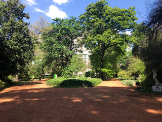 city park in Buenos Airesses, Argentina. Trees, road, lake, palm
