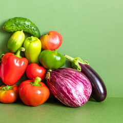 Still life composed of a rich crop of fresh vegetables. Farm aubergine eggplants, tomatoes of various grade, bell peppers, cucumber on a green background.