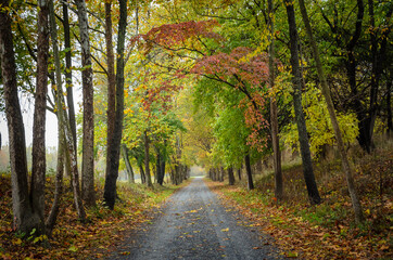Fototapeta premium Monocacy National Battlefield