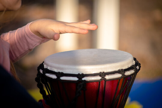 Musical Instrument African Djembe Meinl