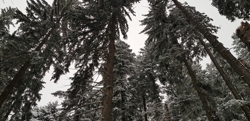 Beautiful landscapes