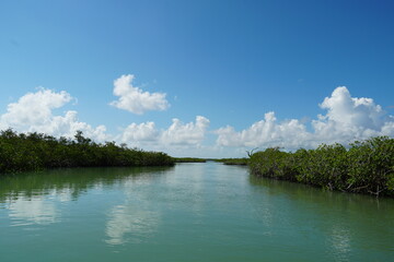 Obraz na płótnie Canvas sian ka'an, sian kaan, tulum, natural reserve, lagoon, mexico, quintana roo, sky, animals, birds, sea, caribbean, clouds, cristalline, water, mangroves