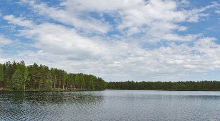 ripples on small forest lake