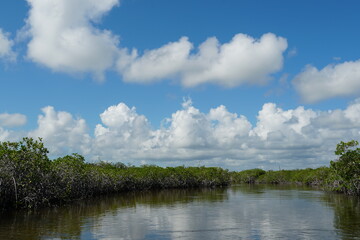 sian ka'an, sian kaan, tulum, natural reserve, lagoon, mexico, quintana roo, sky, animals, birds, sea, caribbean, clouds, cristalline, water, mangroves