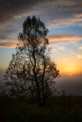 Obraz premium Shenandoah National Park