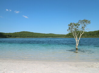 Lake McKenzie auf Fraser Island