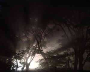 Fototapeta premium spooky halloween night