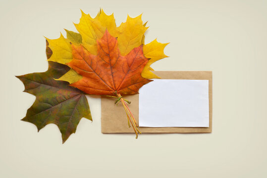 Background for autumn season or hello autumn theme