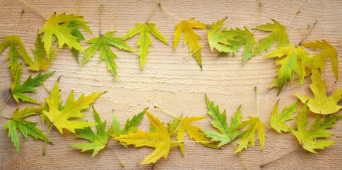 Background for autumn season or hello autumn theme