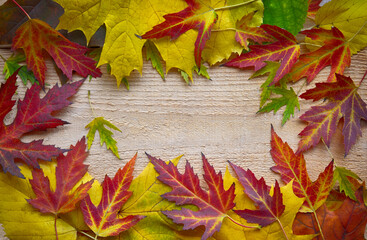 Naklejka na ściany i meble Background for autumn season or hello autumn theme