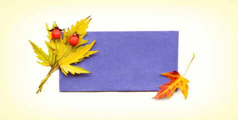 Background for autumn season or hello autumn theme