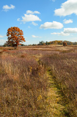 Fototapeta premium Shenandoah National Park