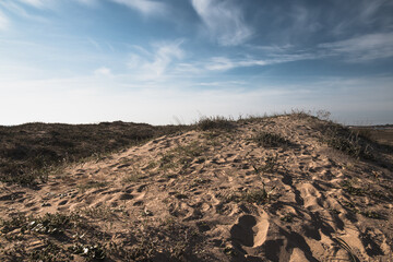 Fototapeta na wymiar Sand dunes on the coast of Tharros and dramatic clouds