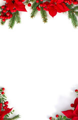 Christmas decoration. Frame of flowers of red poinsettia, branch christmas tree, red berries on white background with space for text. Top view, flat lay
