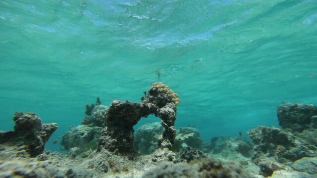 Underwater Pov, Scuba Diving Through Reef In Tahiti